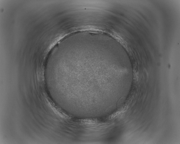 X0000065970347200603101403