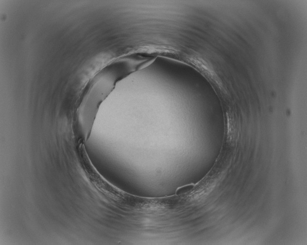 X0000065970348200603101403