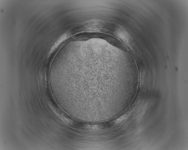 X0000065970349200603101403