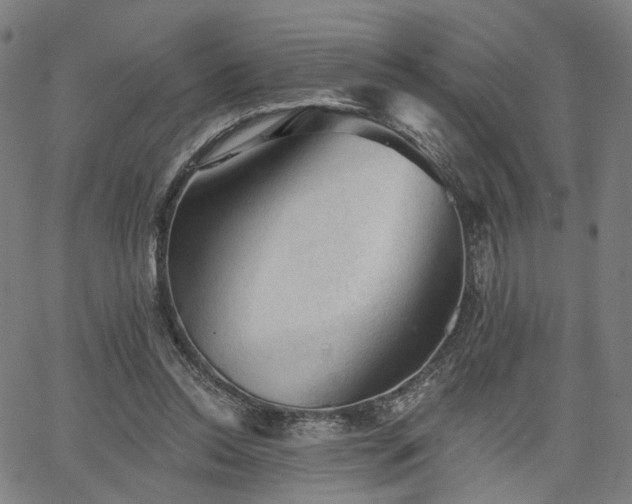 X0000065970350200603101403