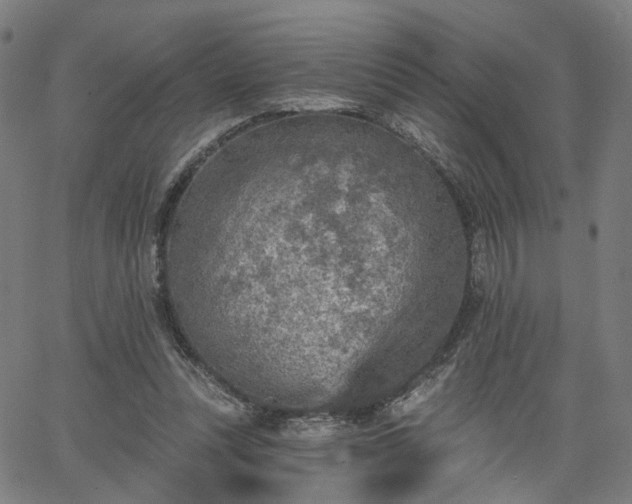 X0000065970351200603101403