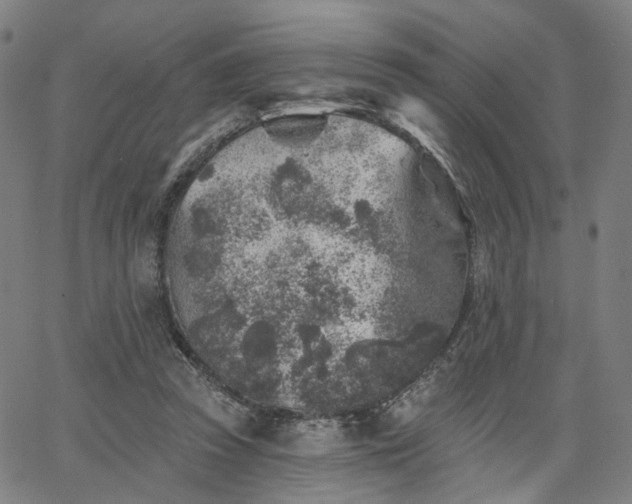 X0000065970353200603101403