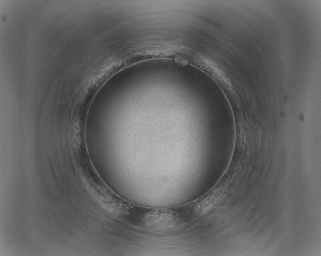 X0000065970354200603101403