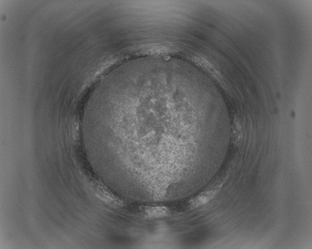 X0000065970355200603101403