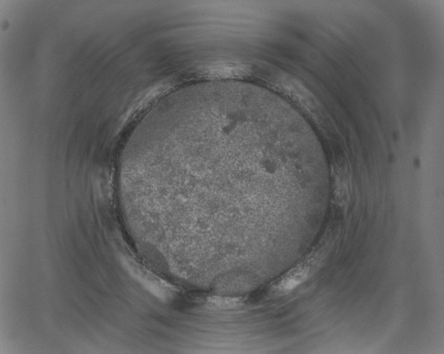 X0000065970357200603101403