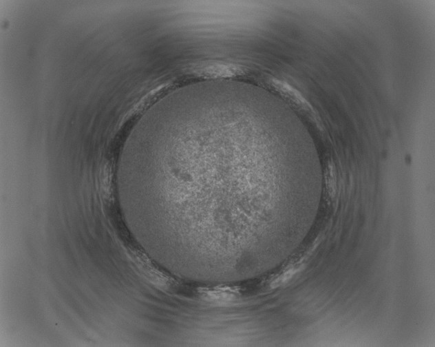 X0000065970359200603101403