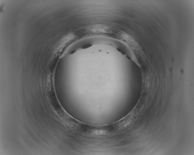 X0000065970360200603101403