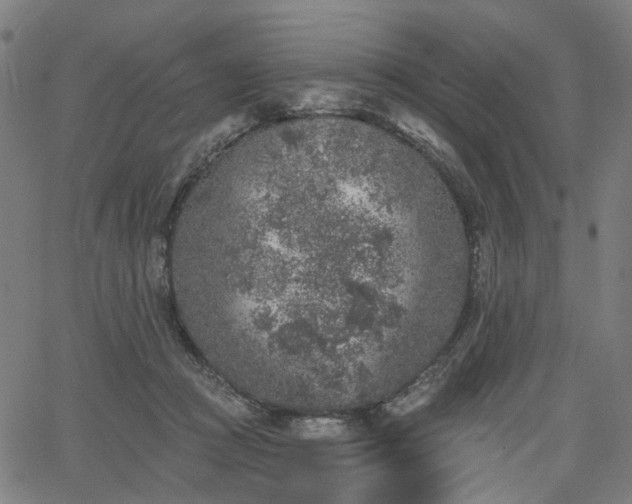 X0000065970361200603101403