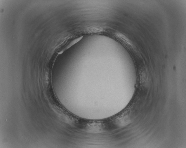 X0000065970362200603101403