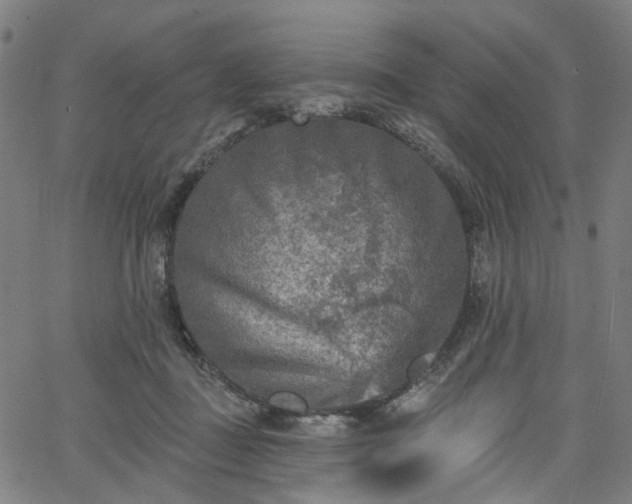 X0000065970363200603101403