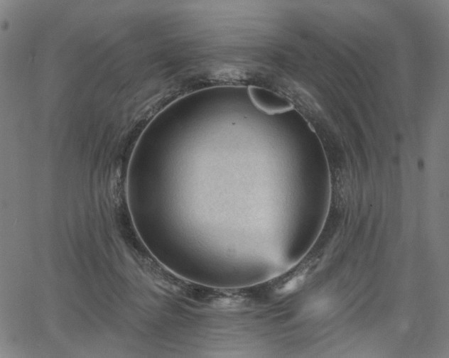 X0000065970364200603101403