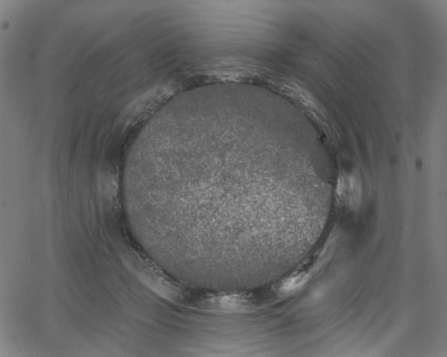 X0000065970365200603101403