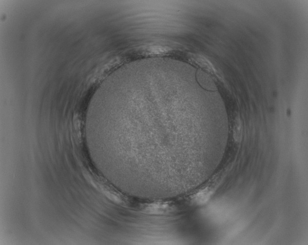 X0000065970366200603101403