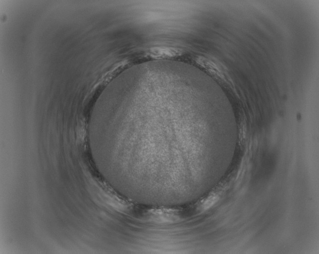 X0000065970367200603101403