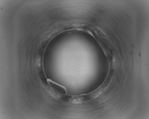 X0000065970368200603101403