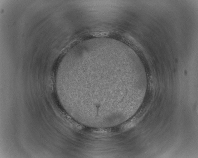 X0000065970370200603101403