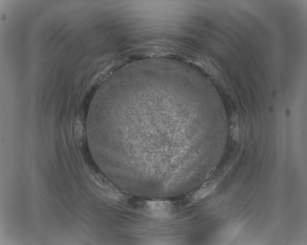 X0000065970371200603101403