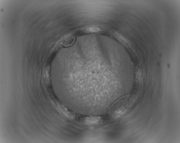 X0000065970373200603101403