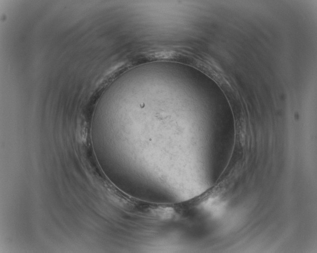 X0000065970374200603101403