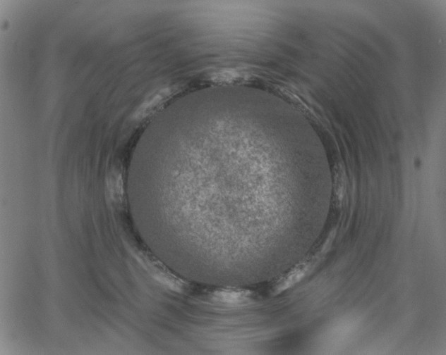 X0000065970375200603101403