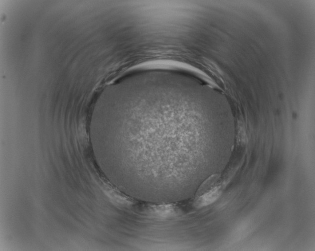 X0000065970377200603101403