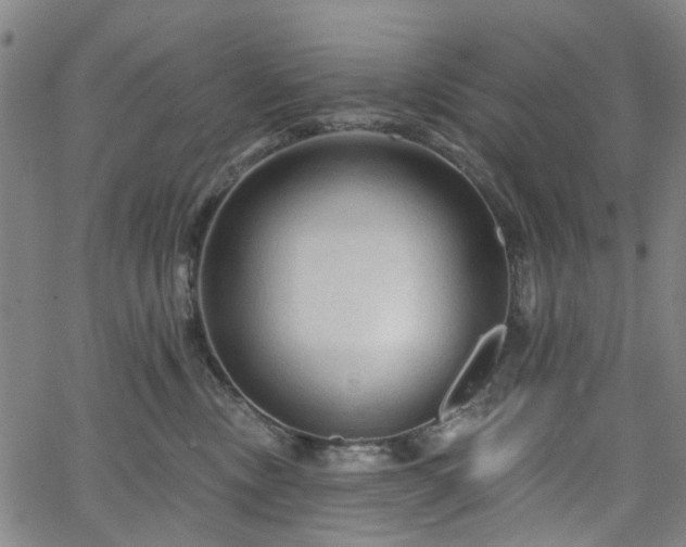 X0000065970378200603101403