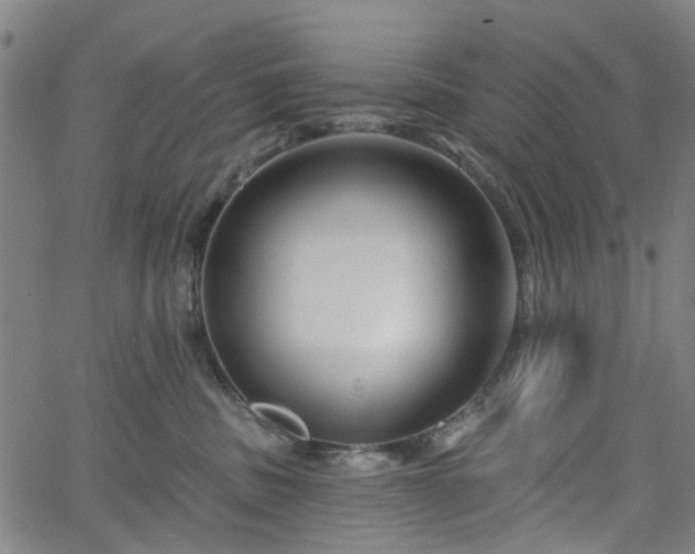 X0000065970379200603101403