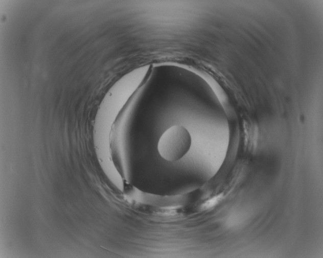 X0000065970380200603101403