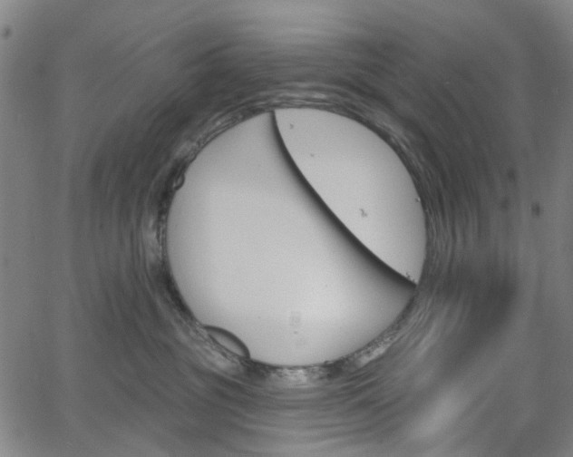 X0000065970381200603101403