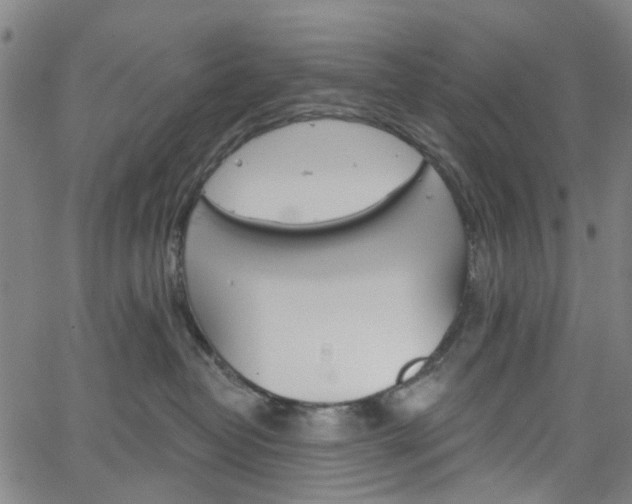 X0000065970382200603101403