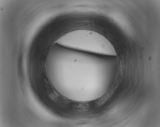 X0000065970383200603101403