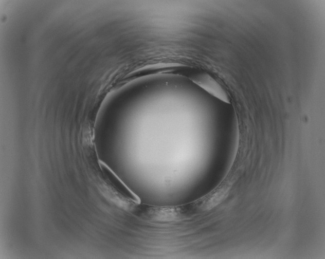 X0000065970384200603101403