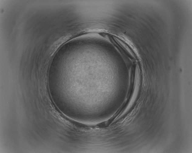 X0000065970385200603101402