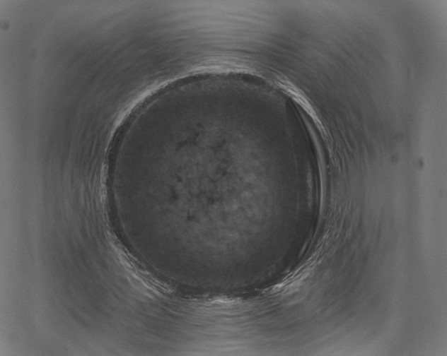 X0000065970387200603101402