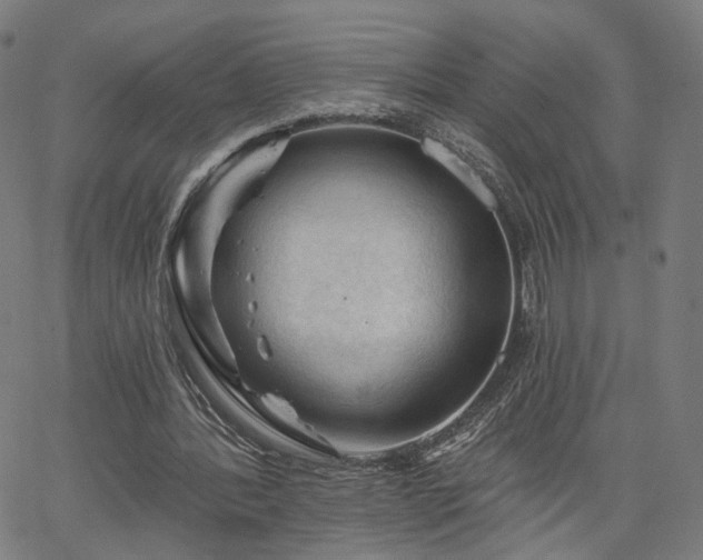 X0000065970388200603101402