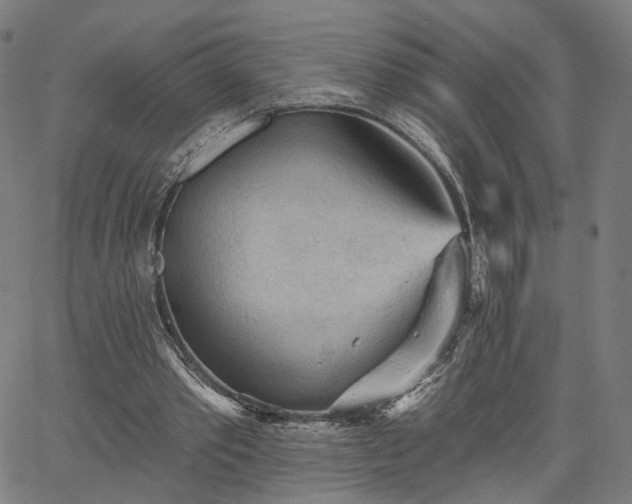 X0000065970389200603101402