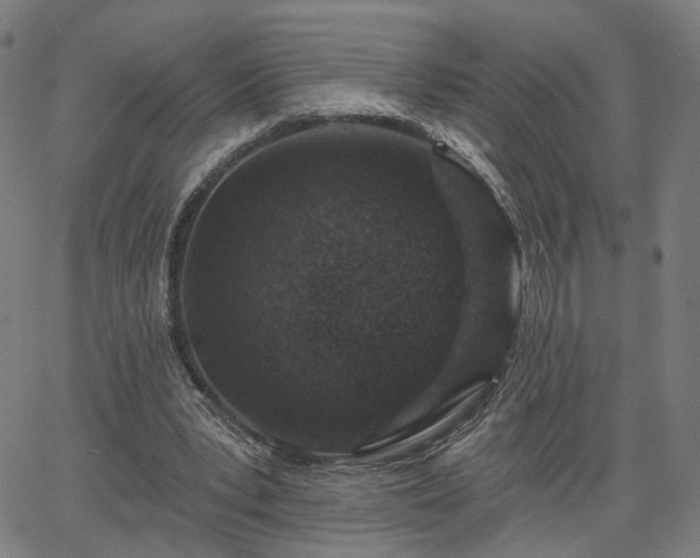 X0000065970391200603101402