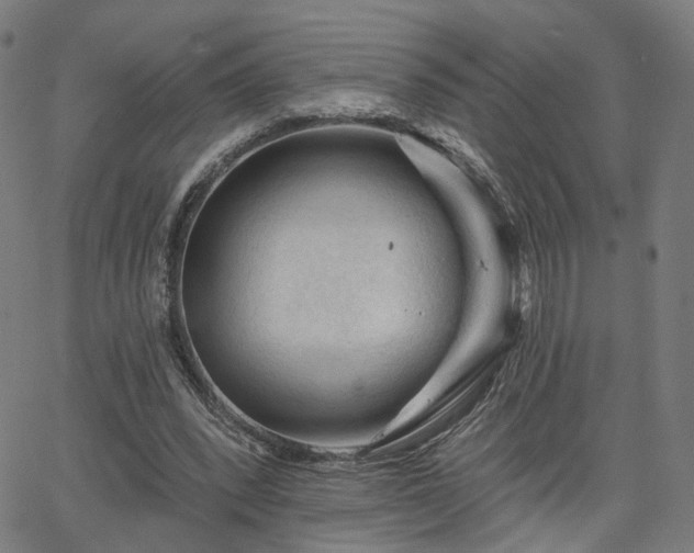 X0000065970392200603101402