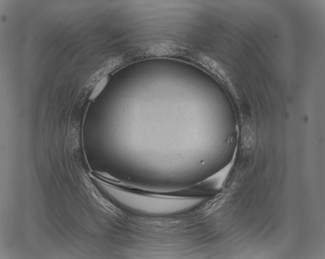 X0000065970393200603101402