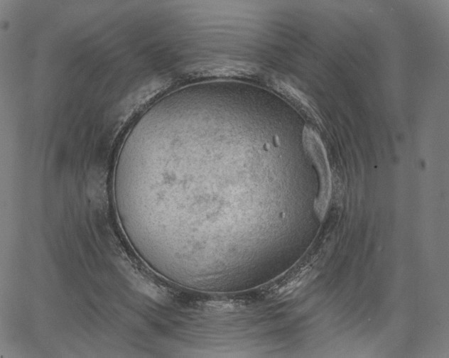 X0000065970394200603101402