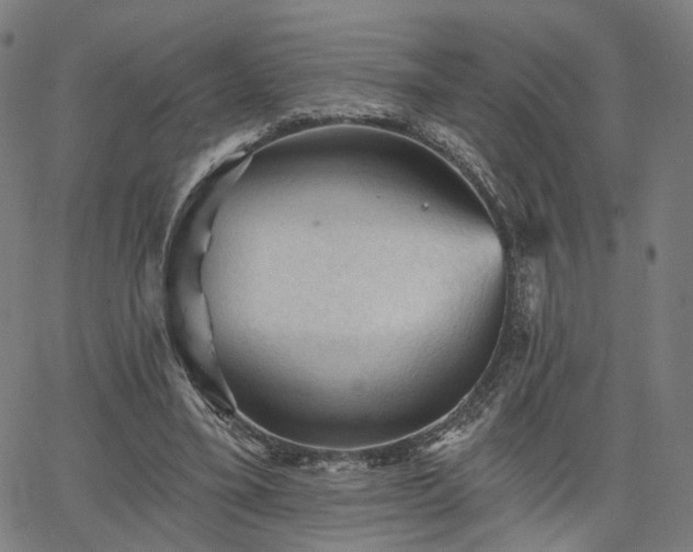 X0000065970395200603101402