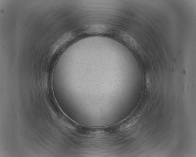 X0000065970396200603101402