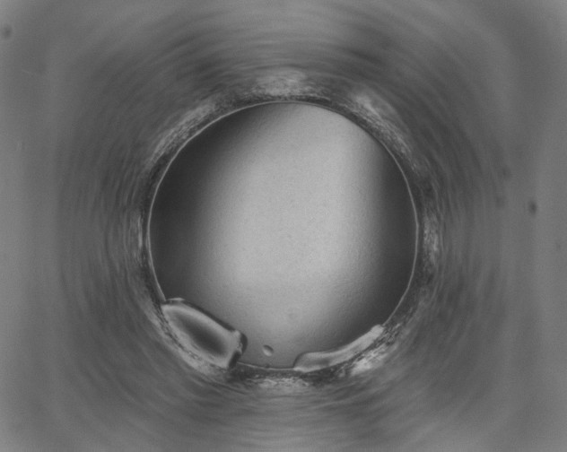 X0000065970397200603101402