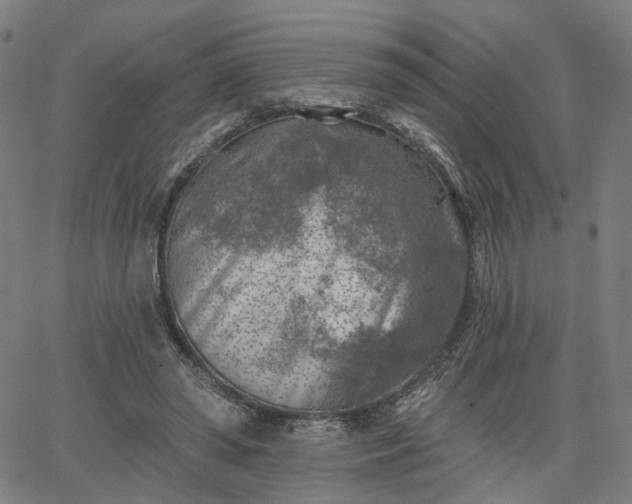 X0000065970398200603101402