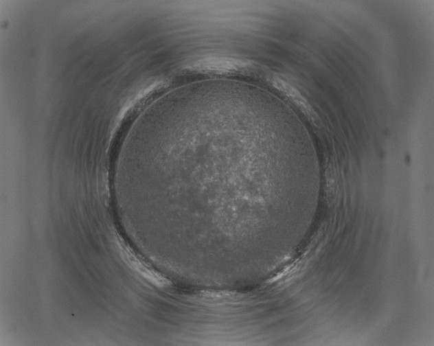 X0000065970399200603101402