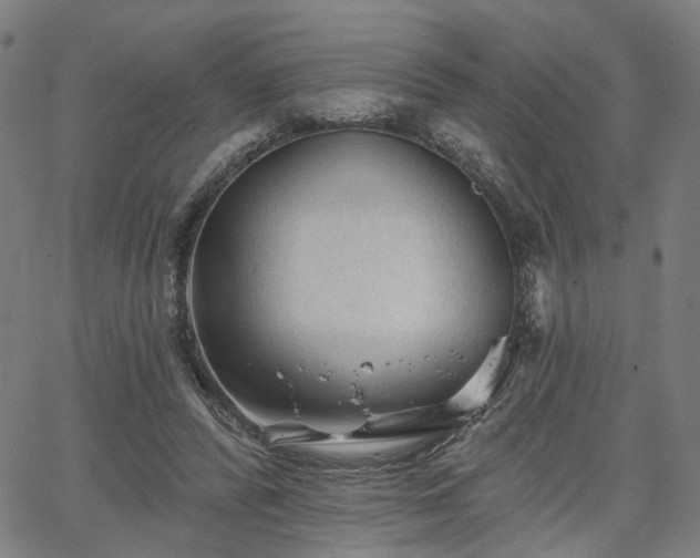 X0000065970400200603101402