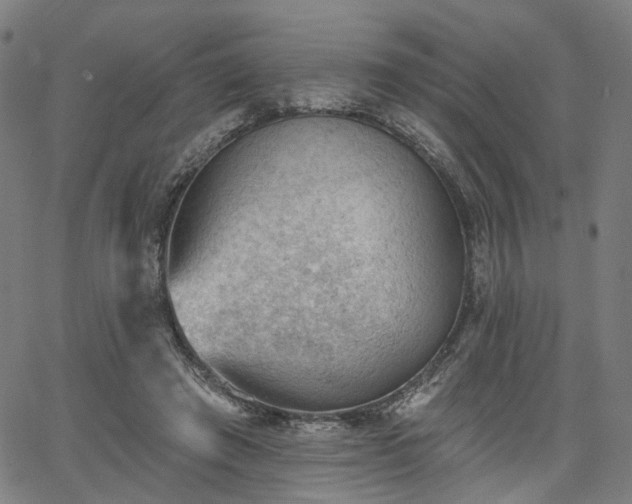 X0000065970401200603101402