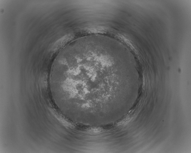 X0000065970402200603101402