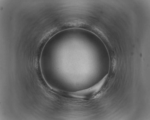 X0000065970403200603101402