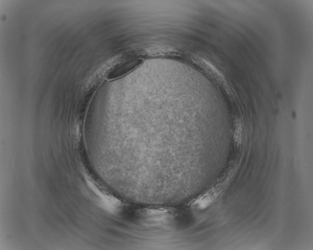 X0000065970405200603101402